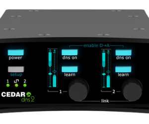 CEDAR Audio DNS 2 (dialogue noise suppressor)